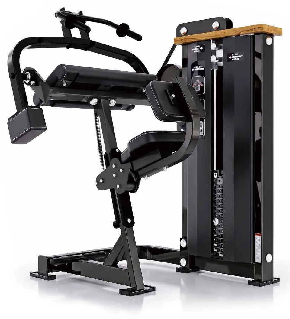 Extensão de Tríceps Máquina (LD-B017)