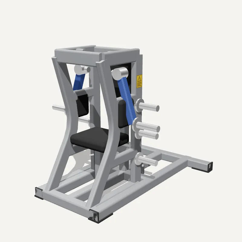 Modelo 3D: Elevação Lateral Peso Livre
