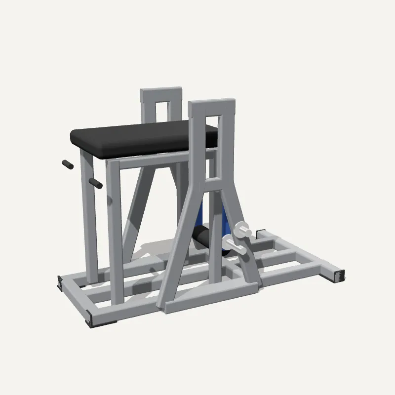 Modelo 3D: Hiperextensão de Glúteos de Peso Livre