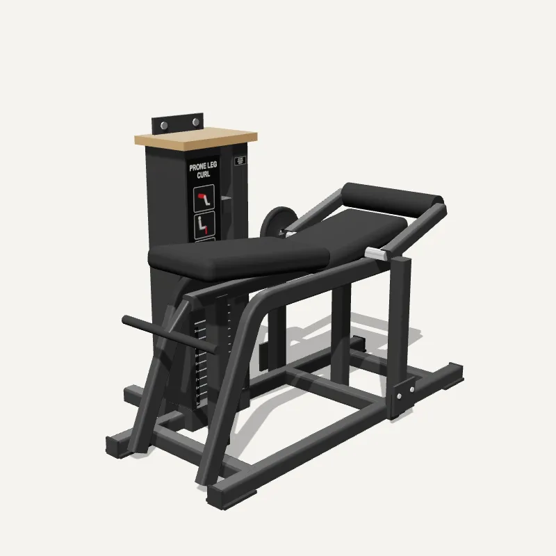 Modelo 3D: Mesa Flexora